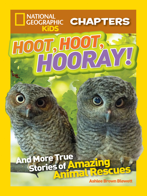 Title details for Hoot, Hoot, Hooray! by Ashlee Brown Blewett - Wait list